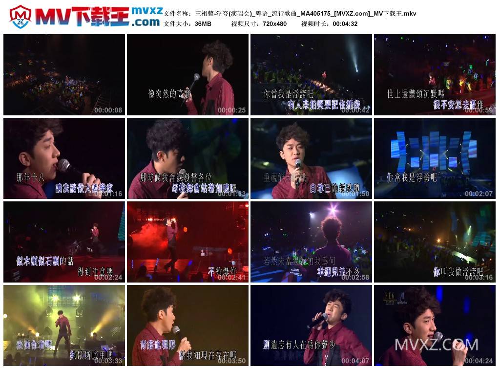 王祖蓝-浮夸(演唱会)_粤语_流行歌曲_MA405175